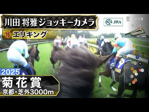【ジョッキーカメラ】エリキング騎乗の川田将雅騎手ジョッキーカメラ映像|2025年菊花賞|JRA公式