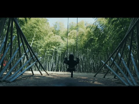 Discover Utsunomiya’s Hidden Gems: Oya Stone, Bamboo Forest & Tobu Hotel Grande
