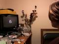 mygirlfriendgames