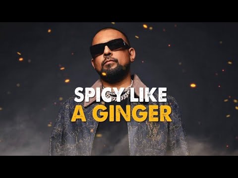 Sean Paul - Ginger [Lyrics]