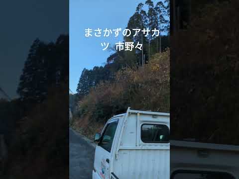 【情熱朝活🌞】 R6/12/18  市野々  睦沢町境 岬町 古沢地区 コーヒー差入れ トコロ建業さん 感謝 まさかずのアサカツ