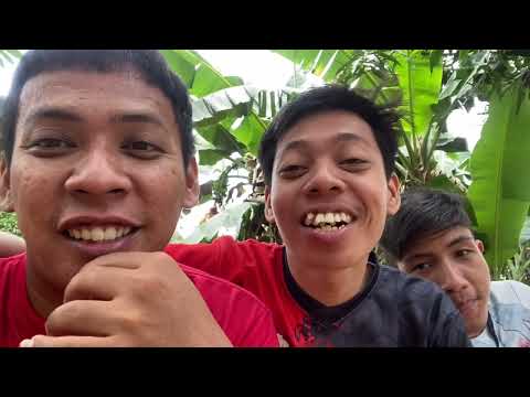 Guyonan bareng duo kopl0 babak telur part 4