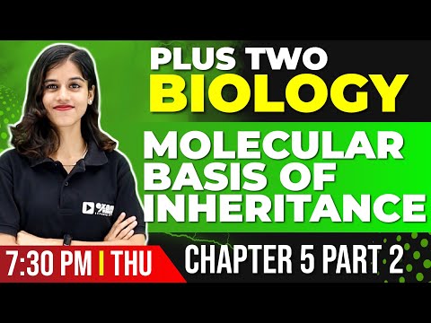 Plus Two Biology | Molecular Basis of Inheritance | Chapter 5 Part 2 | Exam Winner