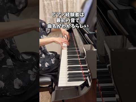 犬派です。