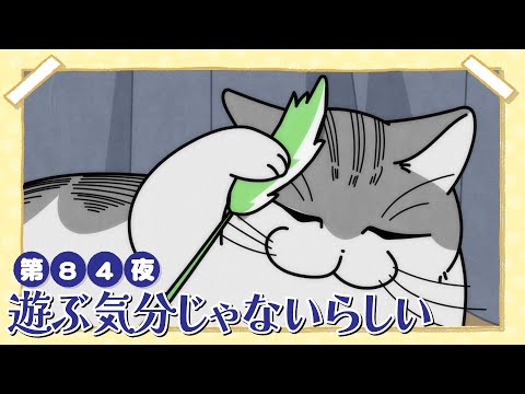 猫の動画サムネイル - アニメ『夜は猫といっしょ』第84夜「遊ぶ気分じゃないらしい」