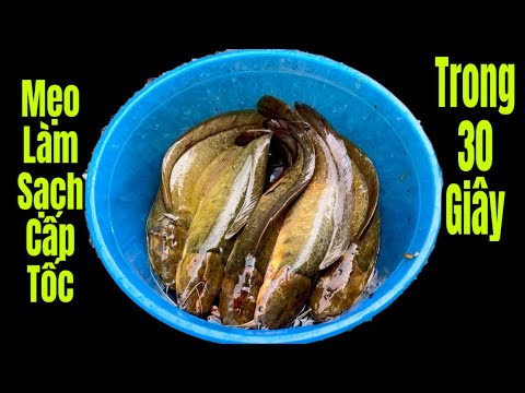 Mẹo Làm Sạch Hết Nhớt Hết Tanh Cấp Tốc Trong 30 Giây