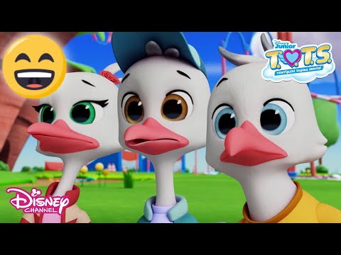 Yeni Teslimatçılar🤗 | Tontişleri Taşıma Servisi (T.O.T.S.) | Disney Channel TR