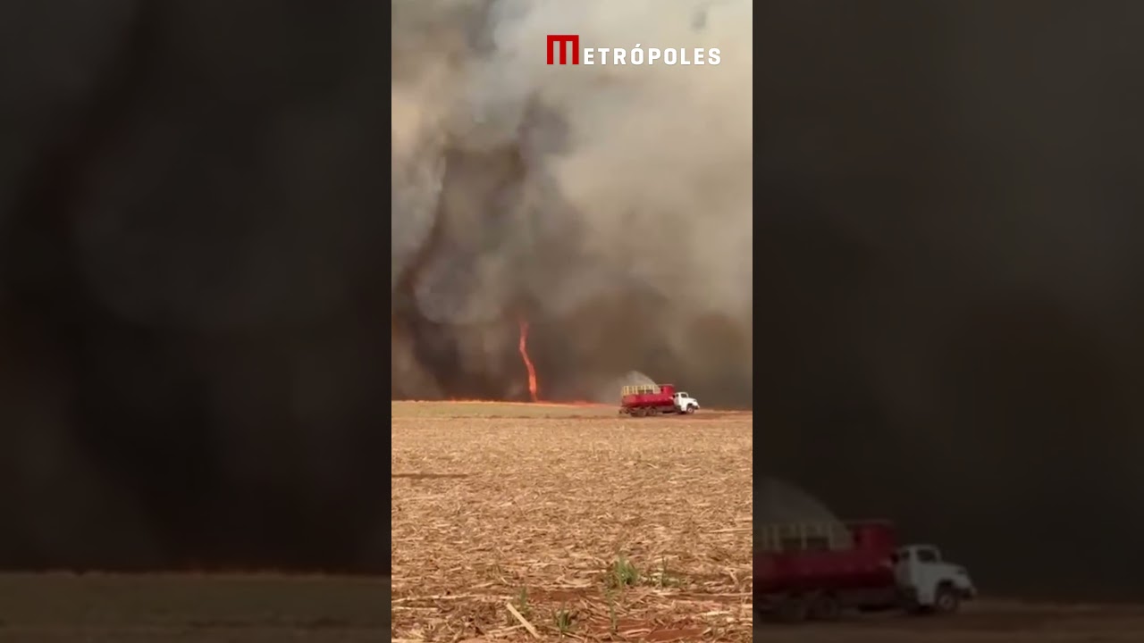 Incêndio florestal em Lençóis Paulista