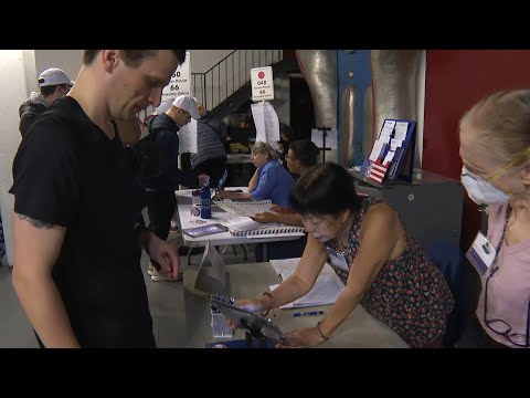 US elections: Voters in New York City head to polls in early hours of US election day | AFP