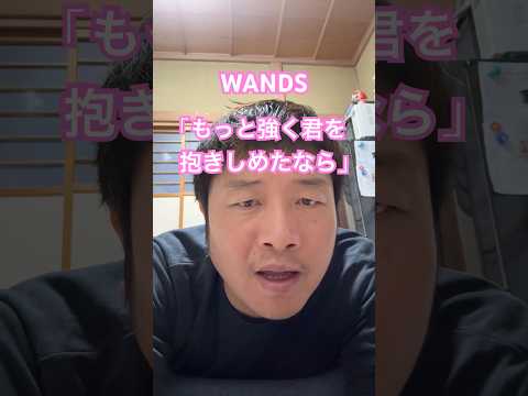 WANDS 「もっと強く君を抱きしめたなら」