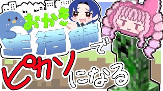 【マイクラ】ピカソ2日目＾＾ドラ〇もん作る#おかき鯖【Minecraft】