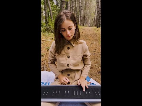 Gliding through the woods with Seaboard 2 🌳