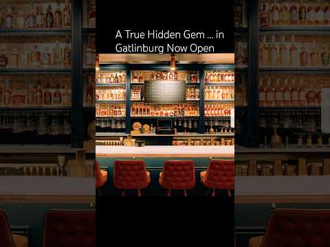 A literal Hidden Gem Hidden out of sight The Alibi in Gatlinburg ! #gatlinburg #greatsmokymountains