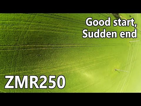 ZMR250 - Good start, sudden end - UCrHe3NKMlyZN1zPm7bEK8TA