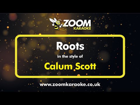 Calum Scott - Roots (Karaoke Version) with Lyrics On Screen