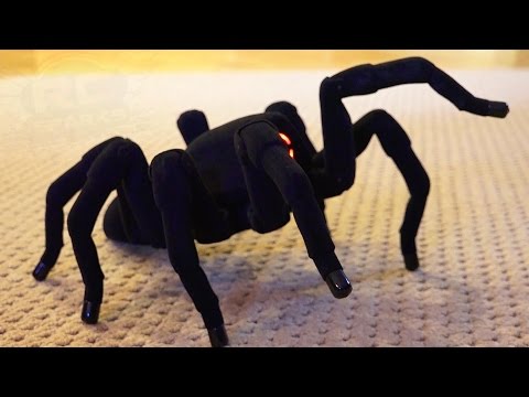 RC ADVENTURES - Robotic Spider - Creepy Movement! - UCxcjVHL-2o3D6Q9esu05a1Q