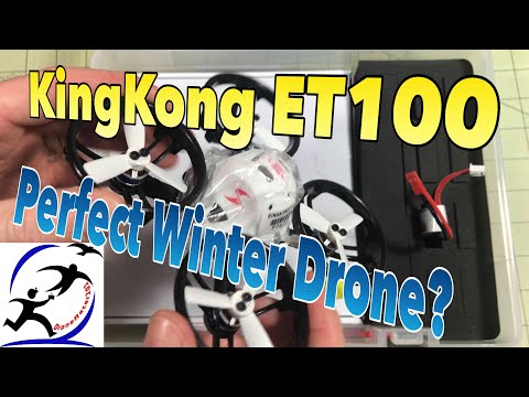 KingKong ET100 Brushless Indoor Racing Drone, Almost the perfect winter indoor racer. - UCzuKp01-3GrlkohHo664aoA