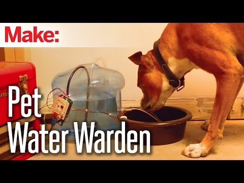 Weekend Projects - Pet Water Warden - UChtY6O8Ahw2cz05PS2GhUbg