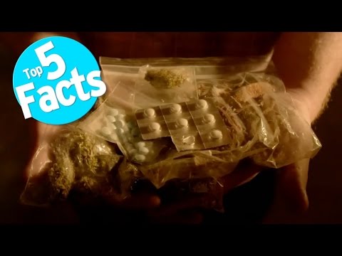 Top 5 Facts: Tripping Balls - UCaWd5_7JhbQBe4dknZhsHJg