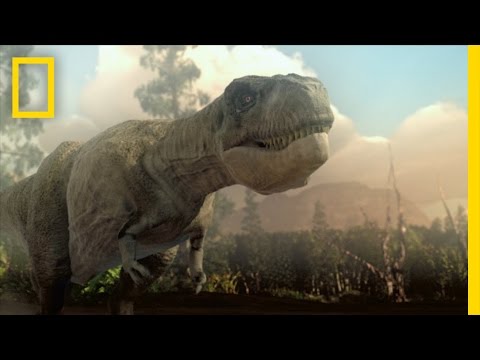 Jurassic CSI - Brain vs. Brawn | National Geographic - UCpVm7bg6pXKo1Pr6k5kxG9A