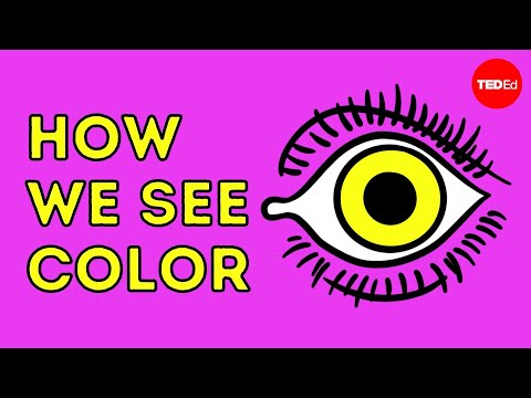 How we see color - Colm Kelleher - UCsooa4yRKGN_zEE8iknghZA