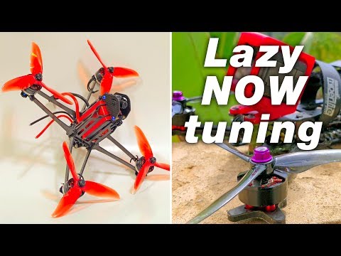 Wild Frame, 'Modern' Tuning Tips, Prop pitch hypothesis - UC4yjtLpqFmlVncUFExoVjiQ
