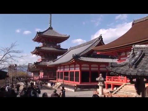 Kiyomizu-dera temple and gardens, Kyoto, Japan travel video - UCvW8JzztV3k3W8tohjSNRlw