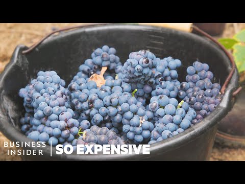 Why Real Champagne Is So Expensive | So Expensive - UCcyq283he07B7_KUX07mmtA