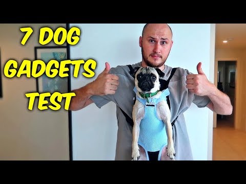 7 Dog Gadgets Put to the Test part 5 - UCe_vXdMrHHseZ_esYUskSBw