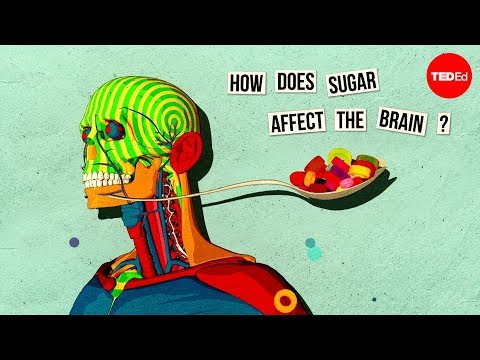 How sugar affects the brain - Nicole Avena - UCsooa4yRKGN_zEE8iknghZA