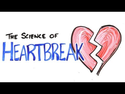 The Science of Heartbreak - UCC552Sd-3nyi_tk2BudLUzA