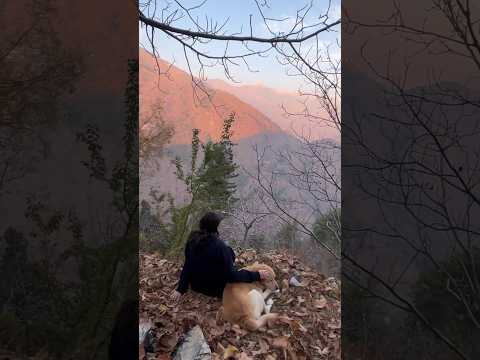 🍁 Autumn fall 🍁| mountain life | traditional village| peace | 🐶 | #lordhuron #nature #mountains