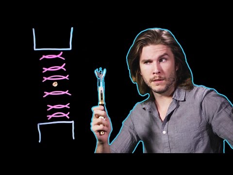 Can DOCTOR WHO’s Sonic Screwdriver Actually Be Made? (Because Science w/ Kyle Hill) - UCTAgbu2l6_rBKdbTvEodEDw