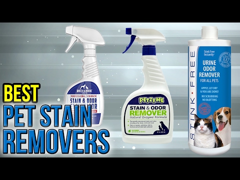 10 Best Pet Stain Removers 2017 - UCXAHpX2xDhmjqtA-ANgsGmw