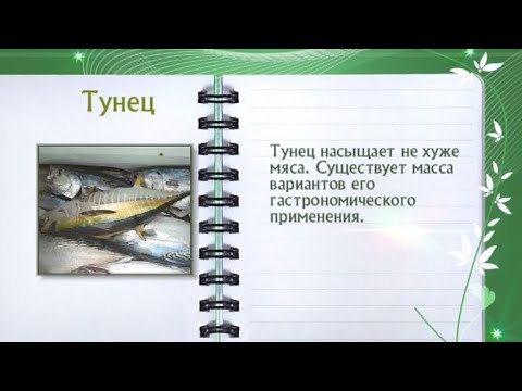 Кулинарная энциклопедия - Тунец - UC7XBjhXnmmXFsxmnys9PmDQ