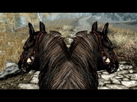 Skyrim Special Edition: Dumb Yet Hilarious Glitches - UCNvzD7Z-g64bPXxGzaQaa4g