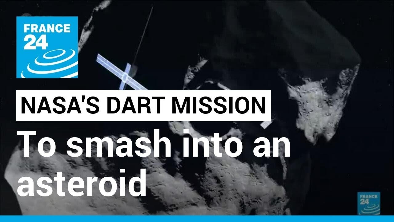 DART mission: NASA gears up to deflect asteroid • FRANCE 24 English