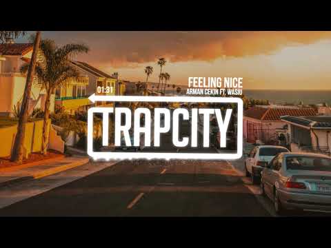 Arman Cekin - Feeling Nice (ft. Wasiu) - UC65afEgL62PGFWXY7n6CUbA