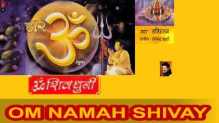 Om Namah Shivay Dhun By Hariharan I Full Audio Song Juke Box YouLoop