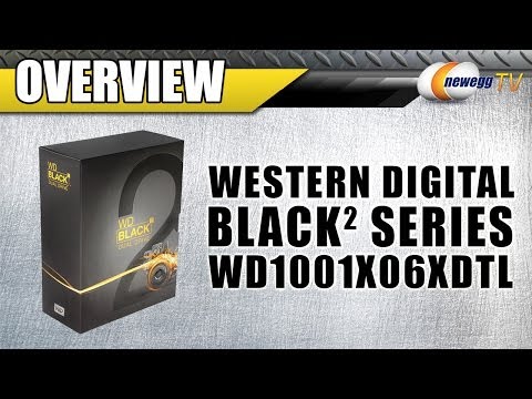 WD Black² Dual Drive 2.5" 120 GB SSD + 1 TB HDD Kit WD1001X06XDTL Overview - Newegg TV - UCJ1rSlahM7TYWGxEscL0g7Q