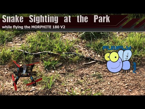 Finding a snake while out FPV flying. - UCQ2264LywWCUs_q1Xd7vMLw
