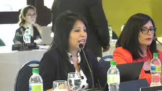 Situation of human rights in Bolivia