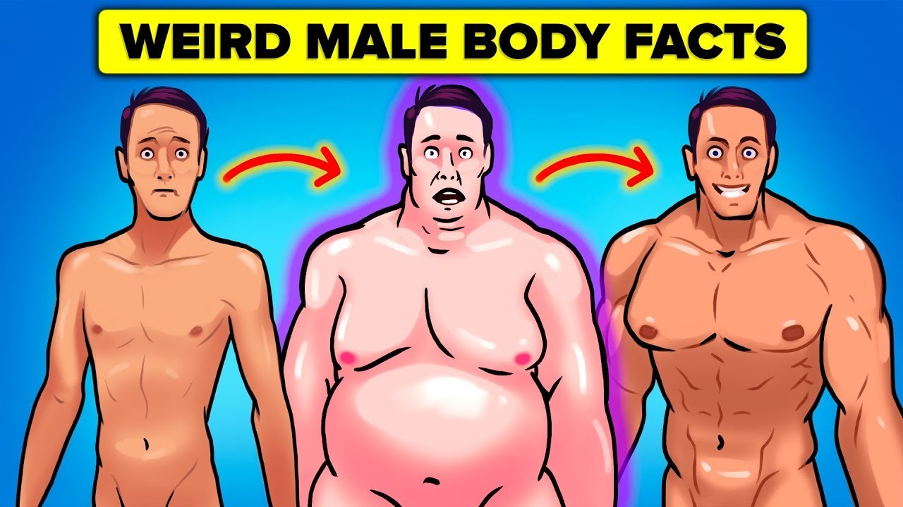Weird Facts About Male Body You Didn’t Know