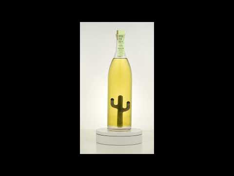 Porfidio Cactus Bottle (The Suave)