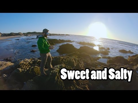 Who Knew Salt Could be so Sweet? // California FreeRange Episode 2 - UCPCc4i_lIw-fW9oBXh6yTnw