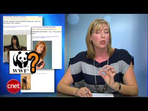 CNET Buzz Report: Will Craigslist killer kill Craigslist? - UCOmcA3f_RrH6b9NmcNa4tdg