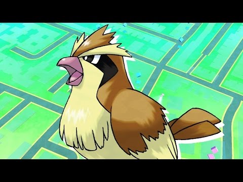 Pokemon Go: How to Level Up Fast With the Lucky Egg - UCKy1dAqELo0zrOtPkf0eTMw