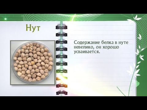 Кулинарная энциклопедия - Нут - UC7XBjhXnmmXFsxmnys9PmDQ