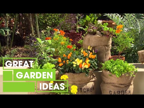3 Tips For Growing Plants | Gardening | Great Home Ideas - UCqbFWAfeuLgn8m81rUL4ghQ