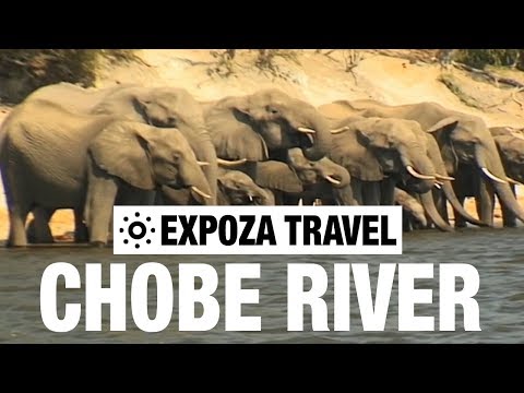 Chobe River (Africa) Vacation Travel Video Guide - UC3o_gaqvLoPSRVMc2GmkDrg